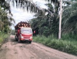 Jalan Penghubung Riopakava Rusak, Butuh Perhatian Serius Dari Pemda Donggala